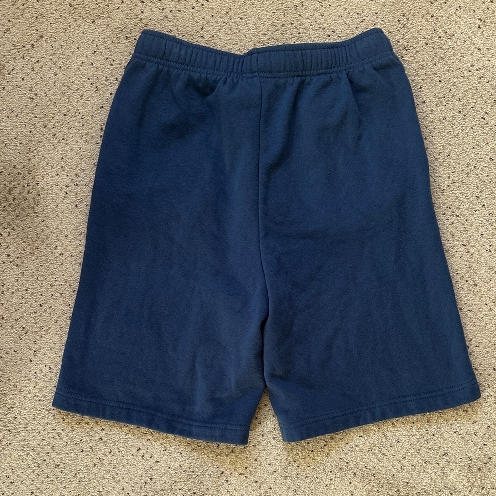 The North Face Men’s Navy Shorts in Excellent Condition - Picture 5 of 5